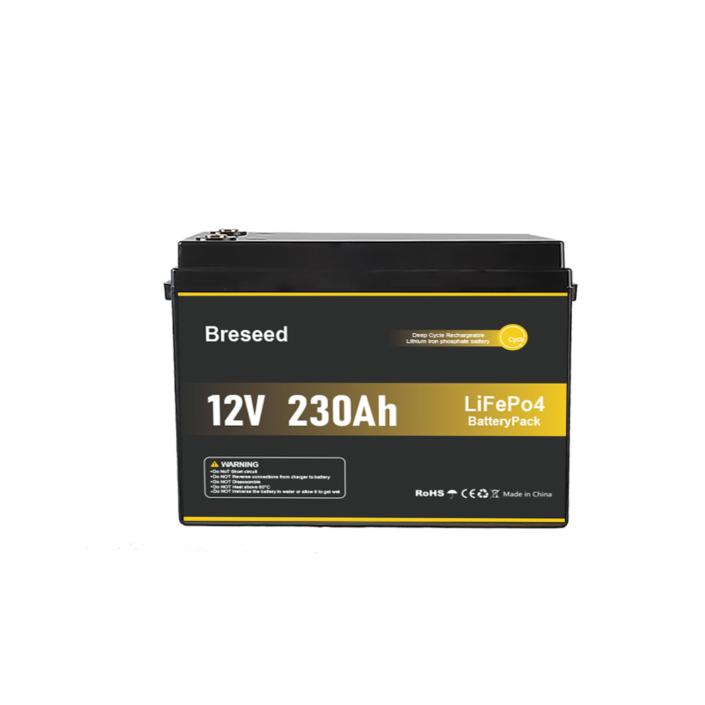 Breseed 12V 230Ah