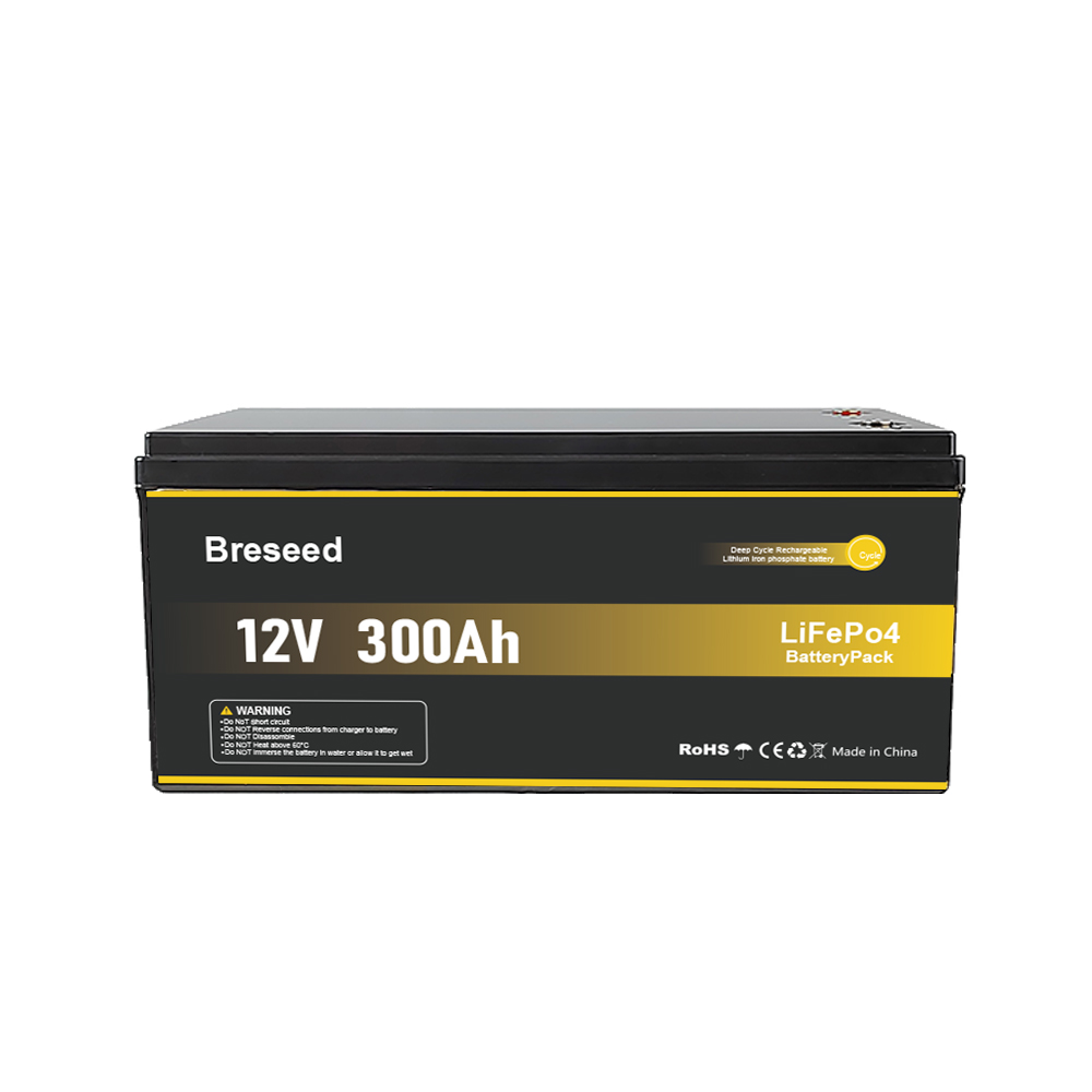 Breseed 12V 300Ah