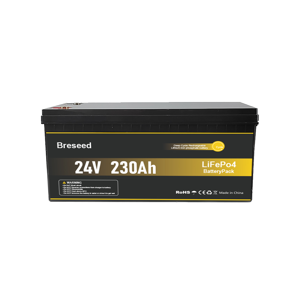 Breseed 24V 230Ah